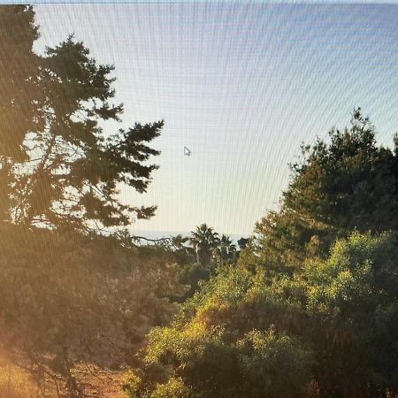 Siisa Appartamento La Muddizza Valledoria A 500 Mt Dal Mare Exterior foto